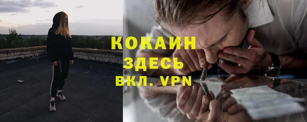 гашик Дмитров